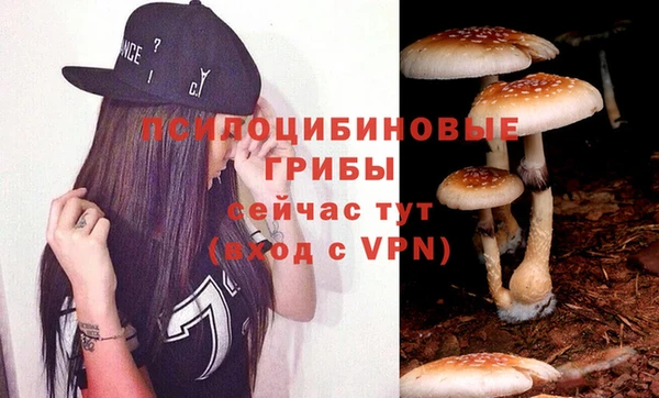 герыч Алексин