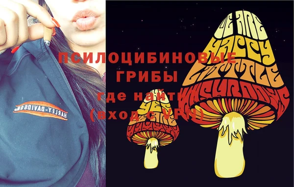 ECSTASY Алексеевка